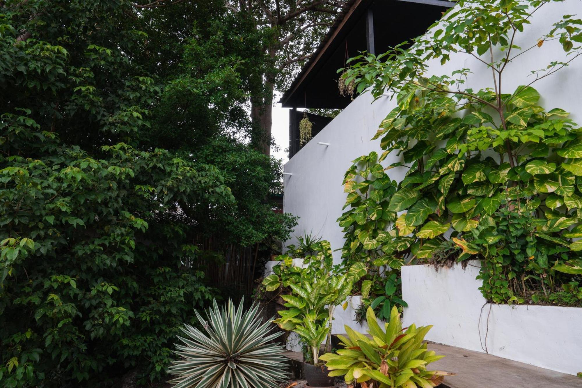 Lunar Villas Koh Tao - Luxury Private Pool Villas Екстер'єр фото